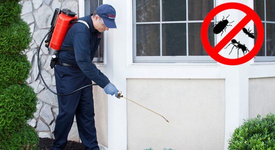 Kemalpaşa Hamam Böceği İlaçlama böcek ilaçlama ve haşere kontrolü — ilaclama-tr.com